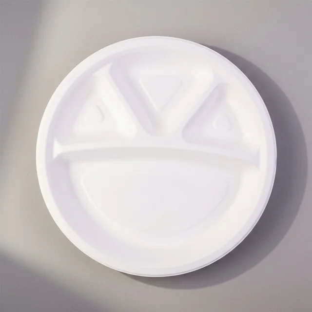4 Compartment Disposable Food Serving Plate – Set of 10
