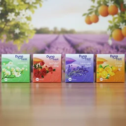 Air Freshener – Long Lasting Fragrance Blocks for Indoor Spaces