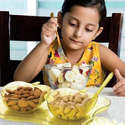 Apple Shape Serving Set – 2Pc Dinnerware | Indo Glow