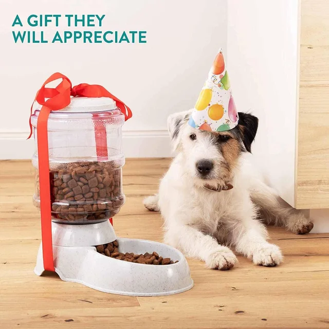 Automatic Pet Food Dispenser – Gravity Self-Feeder | Waggy Tales