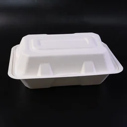 Bagasse Clamshell Food Box – Eco-Friendly 9x6 Inch Disposable Set