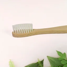 Bamboo Toothbrush – Ultra Soft Bristles for Gentle Care | MintGuard