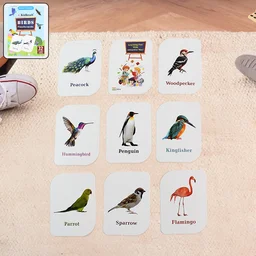 Bird Flashcards – 32 Realistic Educational Cards for Kids
