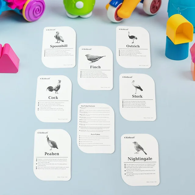 Bird Flashcards – 32 Realistic Educational Cards for Kids