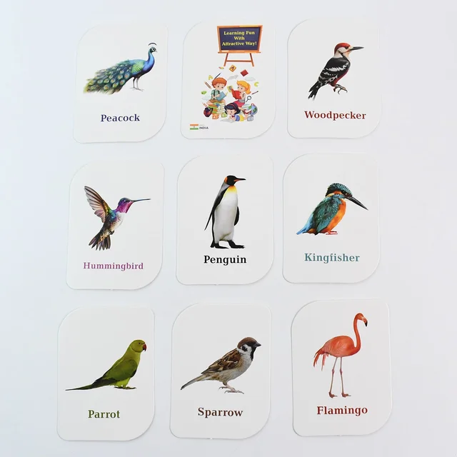 Bird Flashcards – 32 Realistic Educational Cards for Kids