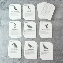 Bird Flashcards – 32 Realistic Educational Cards for Kids