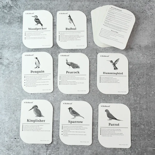Bird Flashcards – 32 Realistic Educational Cards for Kids
