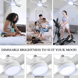 Ceiling Fan & LED Light – Space-Saving Cooling & Bright Illumination