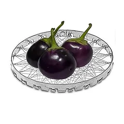 Chota Tandoor Grill – Gas Saver Stainless Steel Jalli | Indo Glow