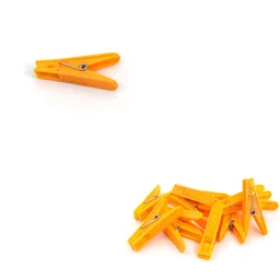 Cloth Clips – 12 Pc Set for Household & Office | Storenzo