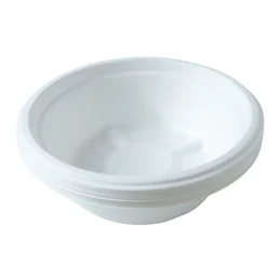 Compostable Bagasse Bowl 240ml – Eco-Friendly 10 Pc Set