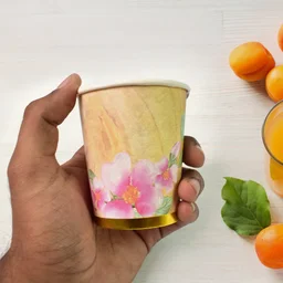 Disposable Paper Cups – Mixed Colour 3 Pcs Set | hydrozilla