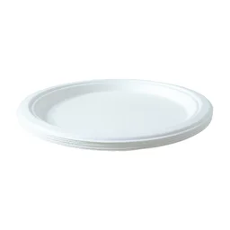 Disposable Round Food Serving Plate – 10 Pc Lightweight Set