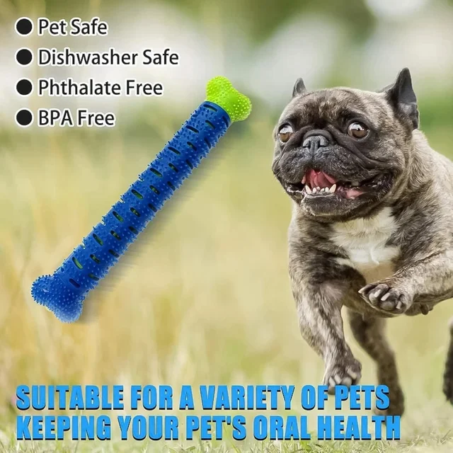Dog Toothbrush – Dental Chew Stick for Clean Teeth | Boardoria