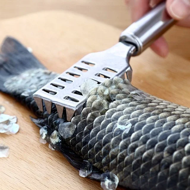 Fish Scale Remover – Sawtooth Stainless Steel Scraper | Quickslice