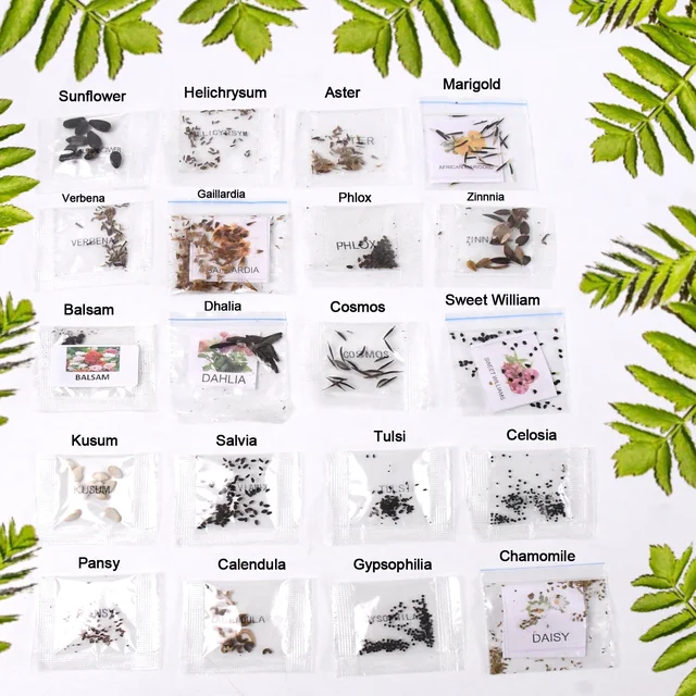 Flower Seeds Combo – 20 Varieties for Vibrant Gardens