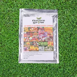 Flower Seeds Combo – 20 Varieties for Vibrant Gardens