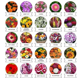 Flower Seeds Combo – 20 Varieties for Vibrant Gardens