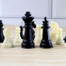 Foldable Magnetic Chess Board - Travel Friendly 24x24 cm