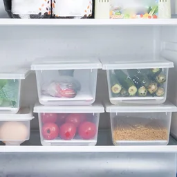 Food Storage Container – 1500ml with Drain Plate | Tidy Table