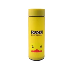 Frosted Glass Kids Water Bottle – Leak-proof & Stylish Design