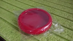 Fruit & Vegetable Container – Fresh Produce Saver for Kitchen | Organivo