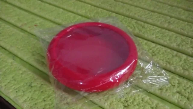Fruit & Vegetable Container – Fresh Produce Saver for Kitchen | Organivo