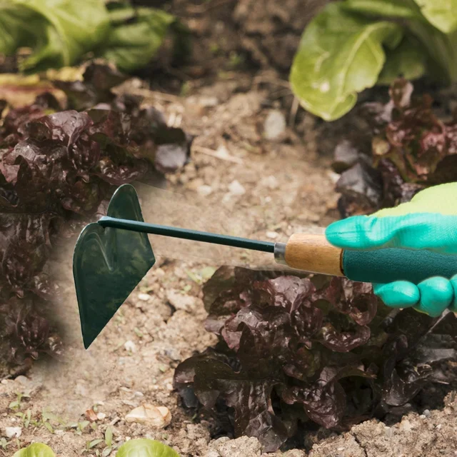 Gardening Hoe – Durable Carbon Steel Hand Tool for Weeding | ToolMate Pro