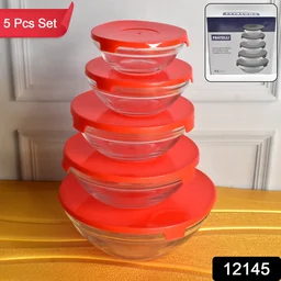 Glass Bowl Set – 5 Pcs Mixing & Storage with Lids | Organivo