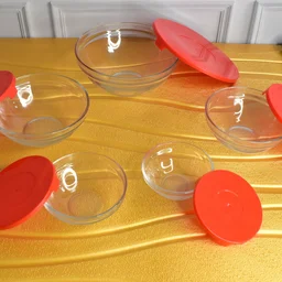 Glass Bowl Set – 5 Pcs Mixing & Storage with Lids | Organivo