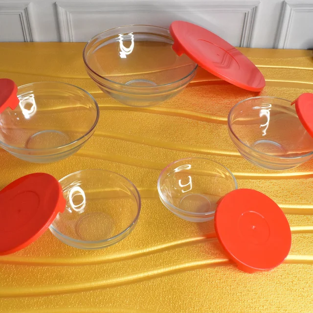 Glass Bowl Set – 5 Pcs Mixing & Storage with Lids | Organivo