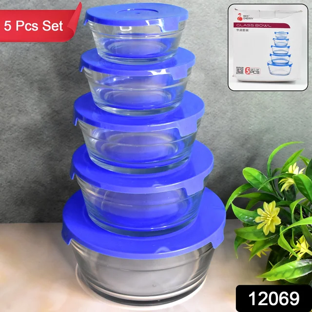 Glass Bowl Set – 5-Piece Modern Storage | Organivo