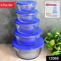 Glass Bowl Set – 5-Piece Modern Storage | Organivo