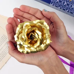 Gold Plated Rose – Eternal Love Gift with Premium Box | Styleva