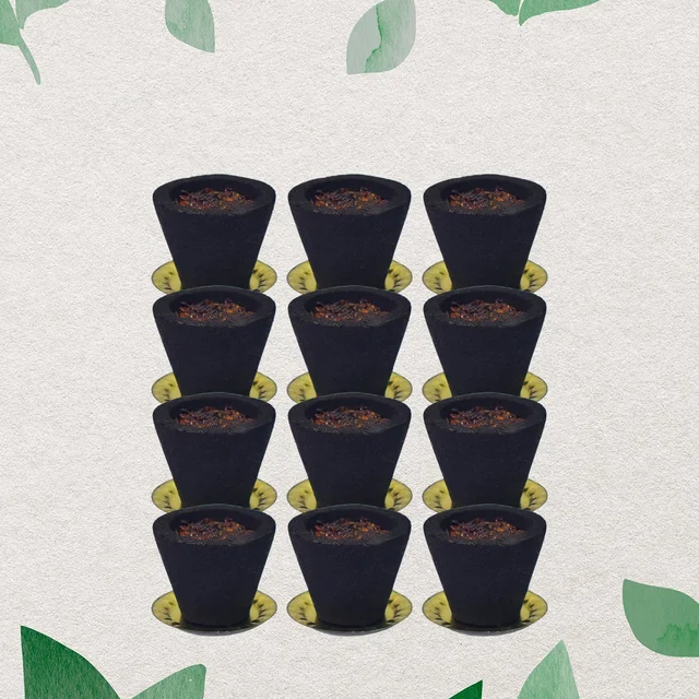 Gugal Sambrani Cups – 12 Pc Havan Set for Pooja | Indo Glow