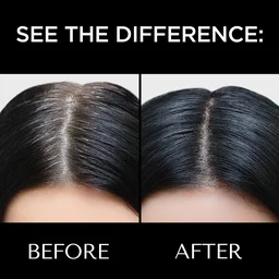 Hairline Color Powder – Instant Grey Hair Coverage, Root Touch-Up