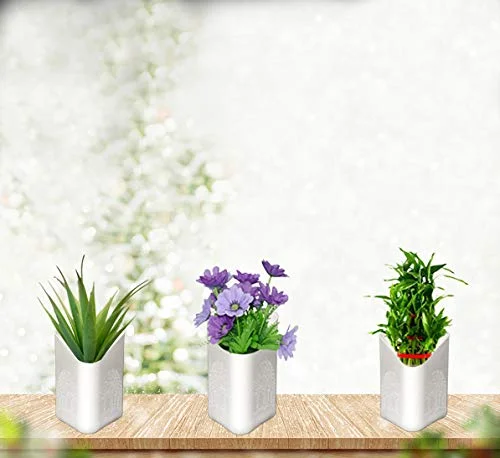 Hanging Planter Pot – Multicolour Vertical Garden | Gambit