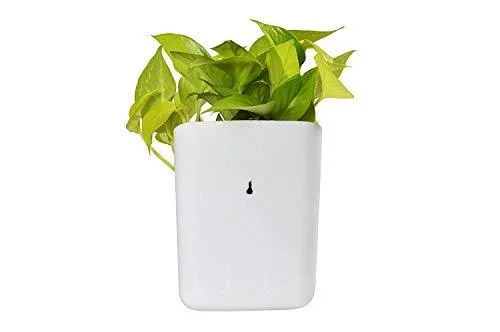 Hanging Planter Pot – Multicolour Vertical Garden | Gambit