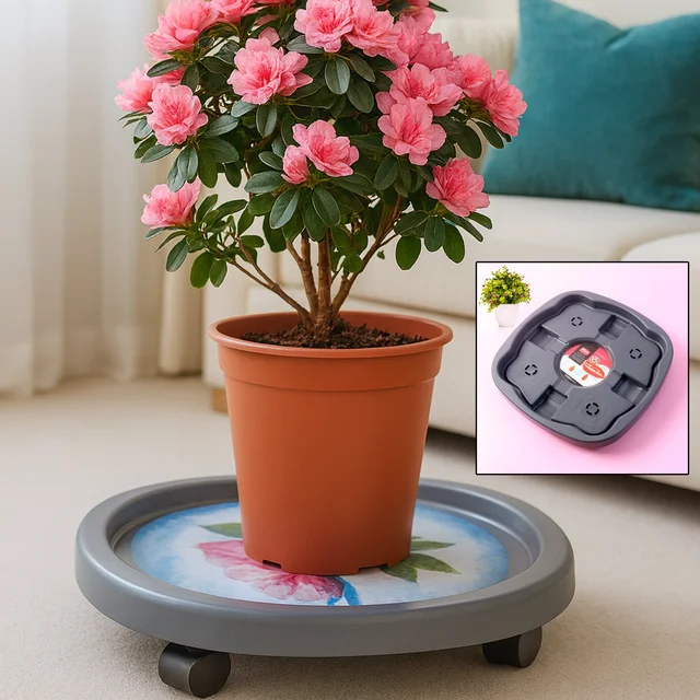 Heavy Duty Gas Cylinder Trolley – Smooth 360° Movement & High Load Capacity