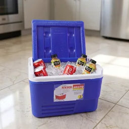 Heavy Duty Insulated Ice Box – 3 Litre Portable & Durable