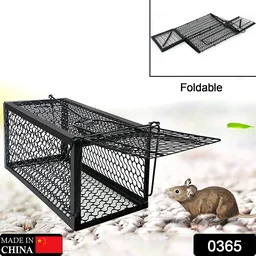 Humane Mouse Trap – Foldable Live Catch Cage for Rodents |