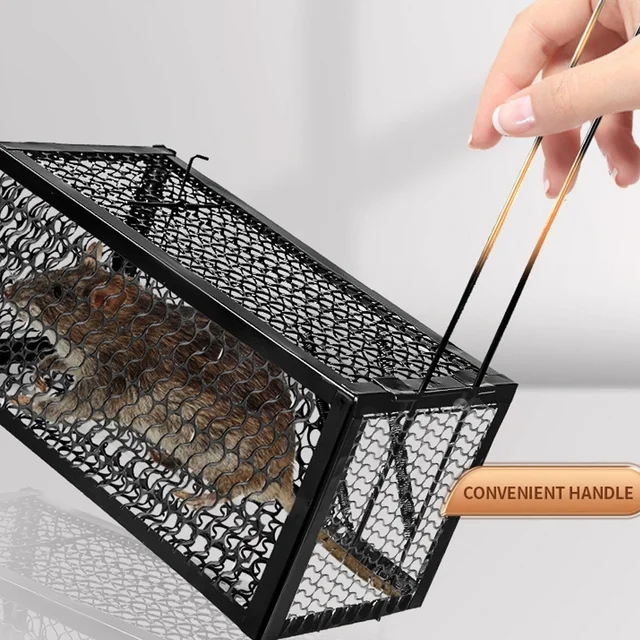 Humane Mouse Trap – Foldable Live Catch Cage for Rodents |