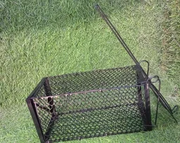 Humane Mouse Trap – Foldable Live Catch Cage for Rodents |