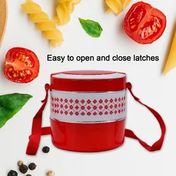 Insulated Tiffin Box – 2-Layer Stainless Steel | Lunchie Bunchie