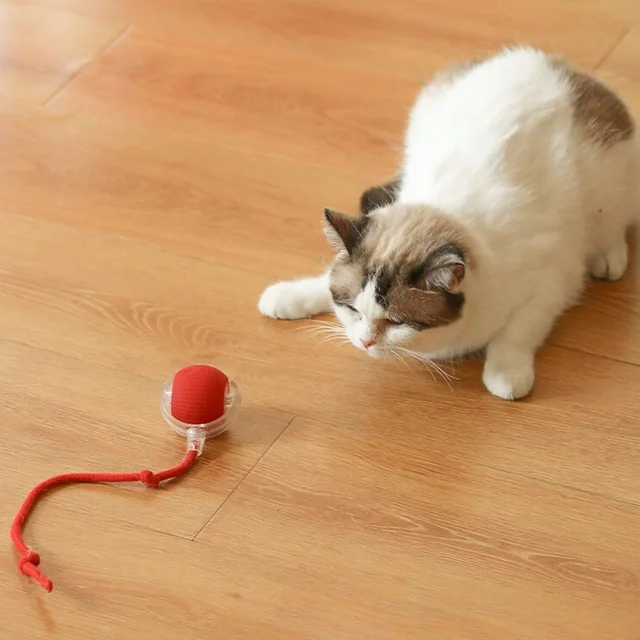 Interactive Cat Toy Ball – LED Light & Detachable Tail