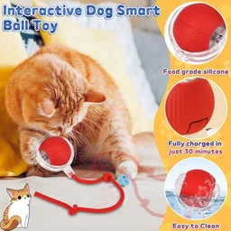 Interactive Cat Toy Ball – LED Light & Detachable Tail