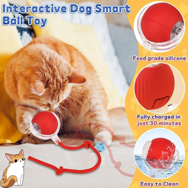 Interactive Cat Toy Ball – LED Light & Detachable Tail
