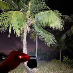 Keychain Flashlight – LED, Folding Bracket & Bottle Opener |