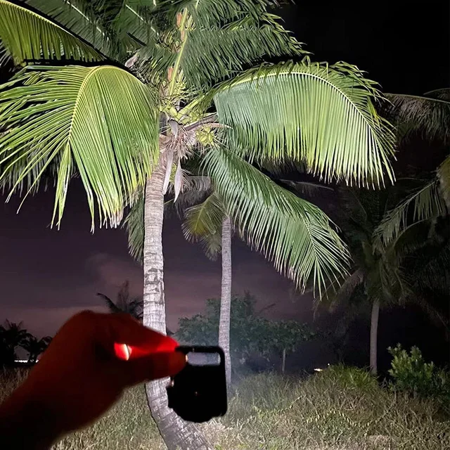 Keychain Flashlight – LED, Folding Bracket & Bottle Opener |