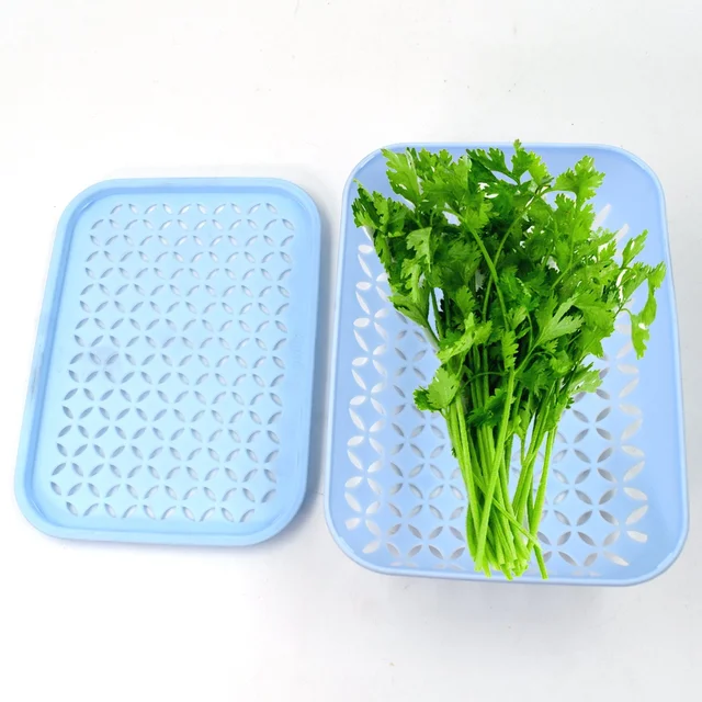 Kothmir Basket – Multipurpose Kitchen Storage | Storenzo